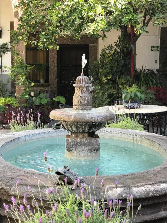 Casa Carmen Bed & Breakfast San Miguel de Allende Ngoại thất bức ảnh